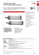 Pneumatikzylinder ISO 15552