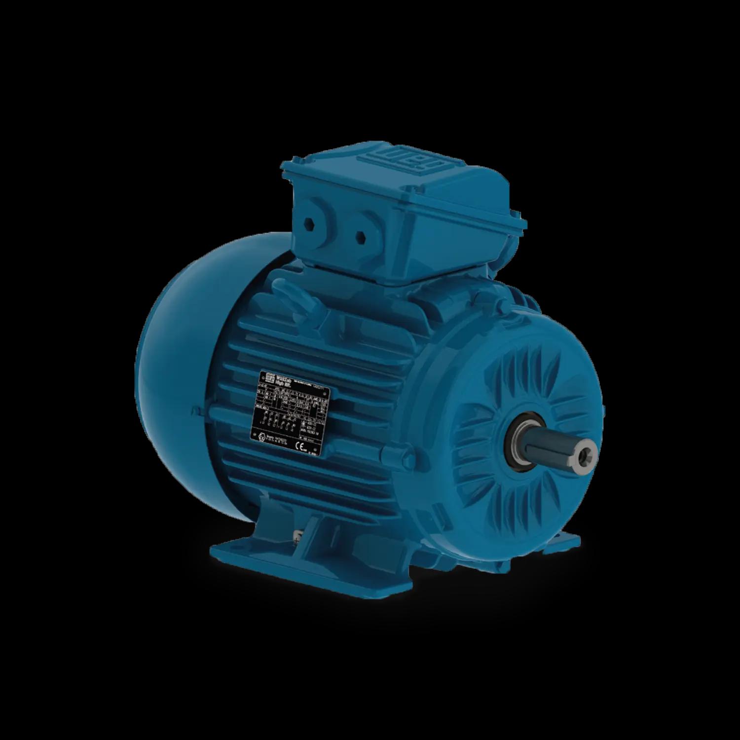 W22Xeb Drehstrom-Käfigläufermotor mit erhöhte Sicherheit  Exeb (Zone 1)