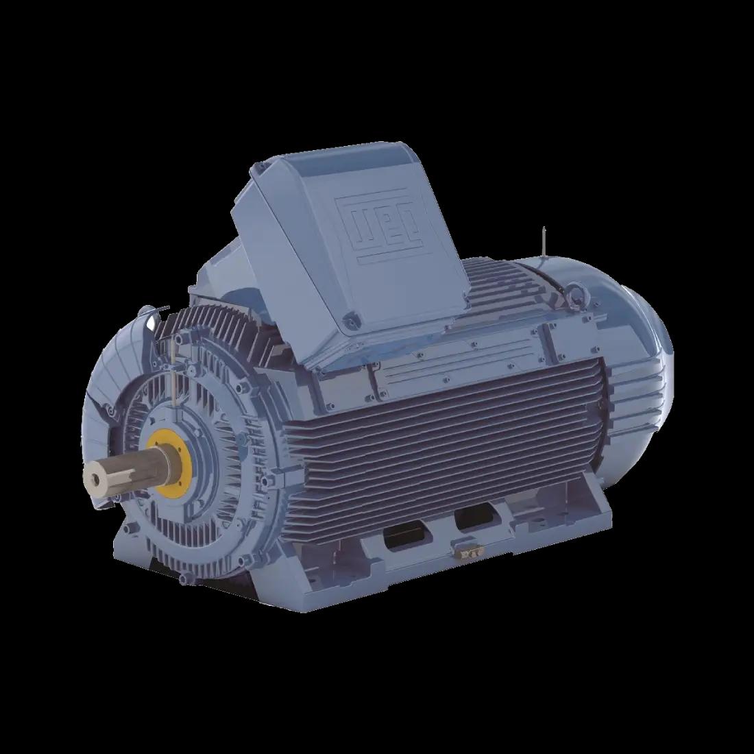 W51 WEG Electric Motors
