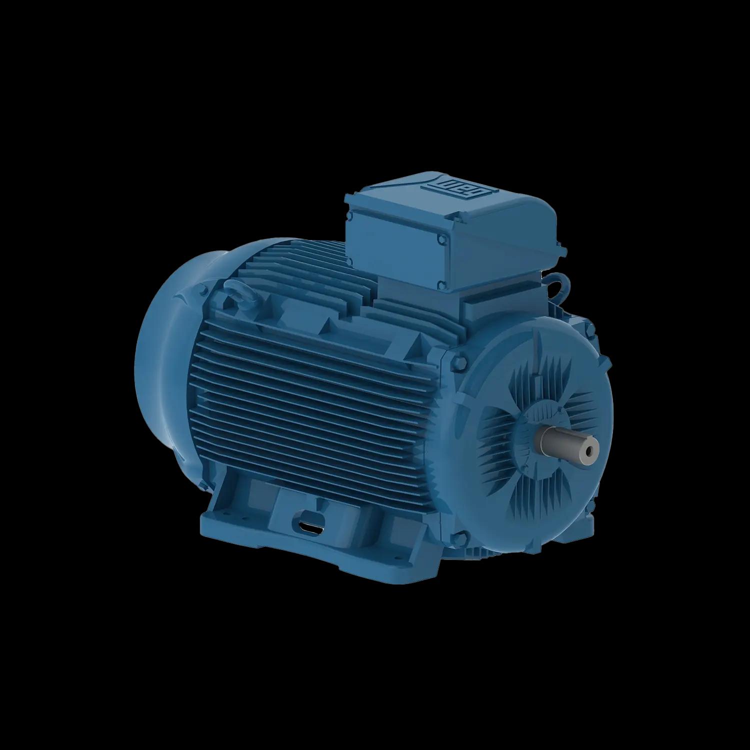 W22 cast iron motors