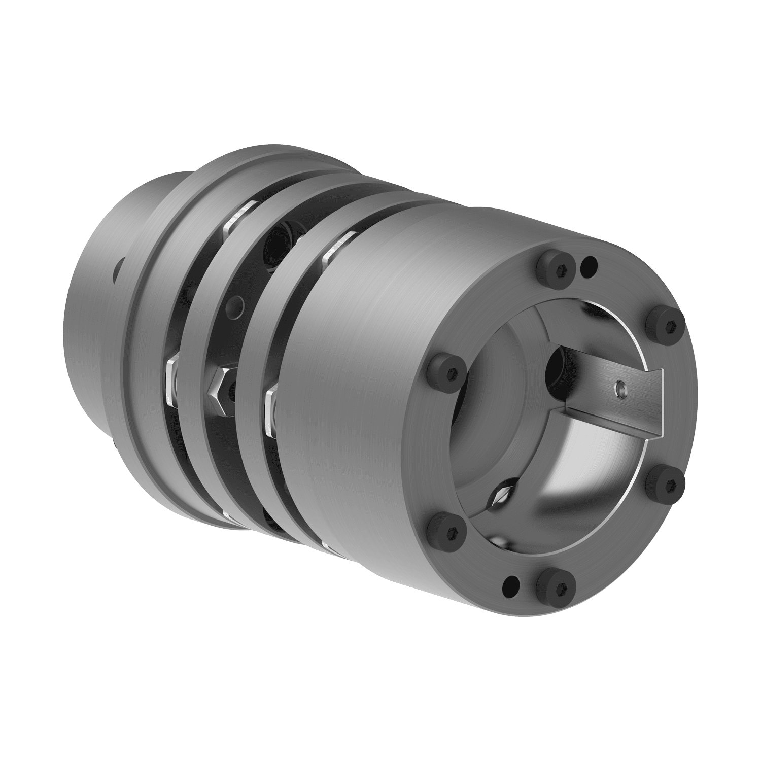 RLDM BAB Type – Disc/Plate Couplings