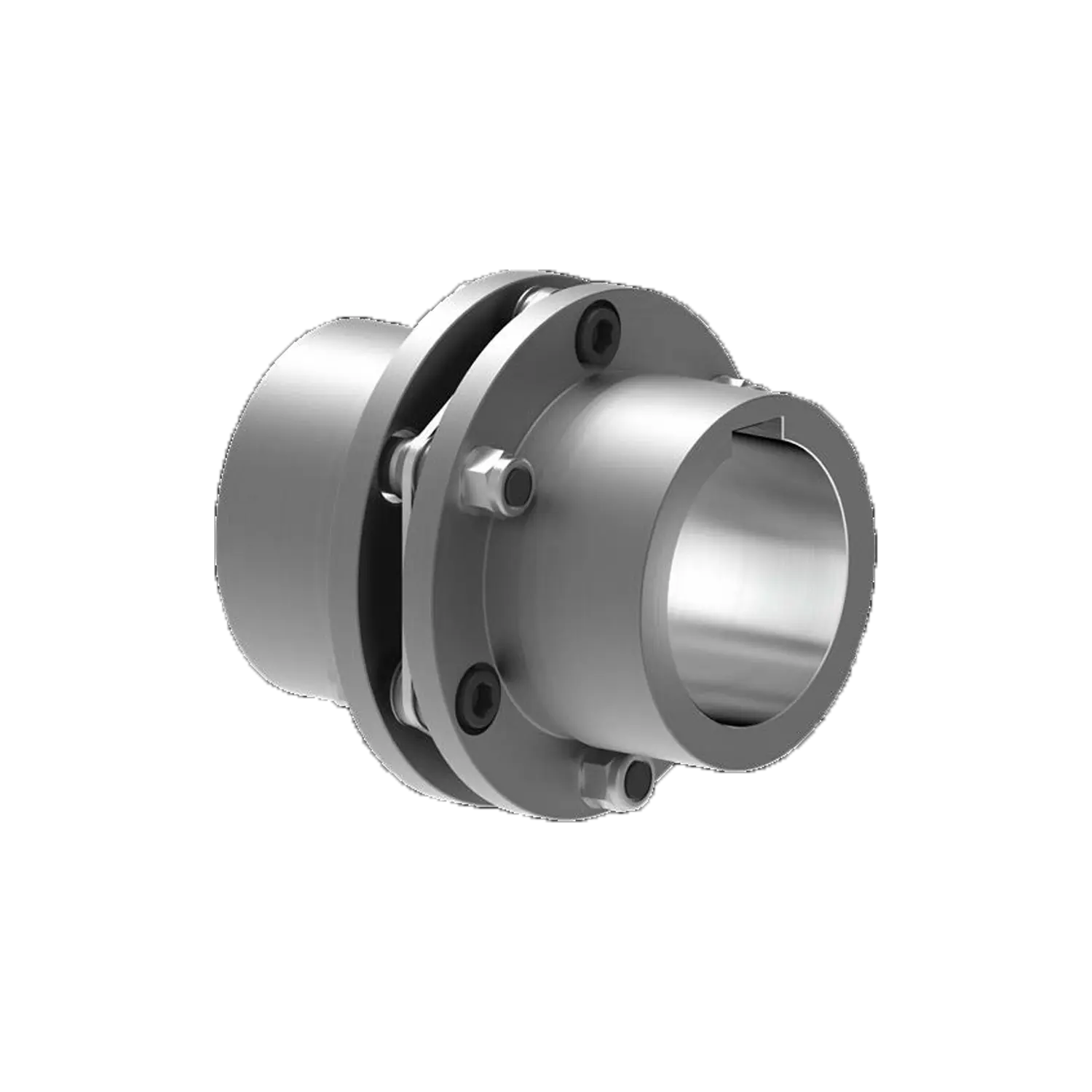 Lamelová spojka TND HSH