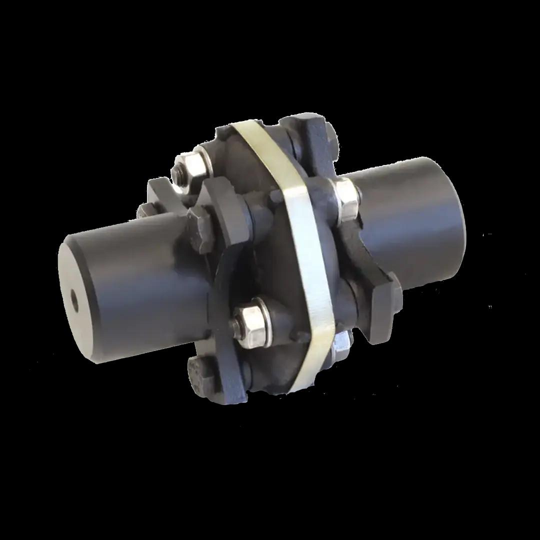 ESAPLUS elastic coupling