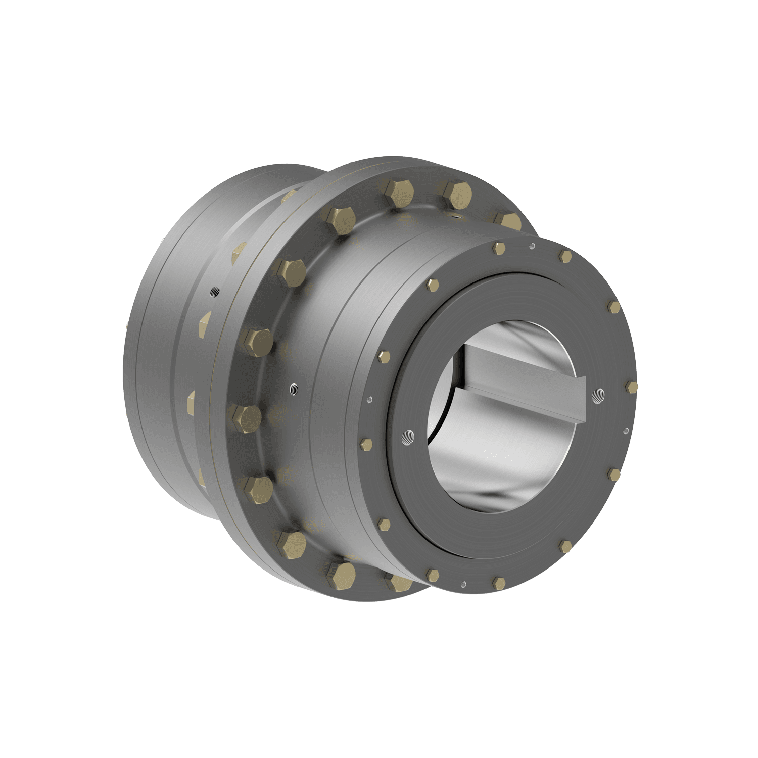 Sayfa 21 gear flex coupling - rgd - rgs.png