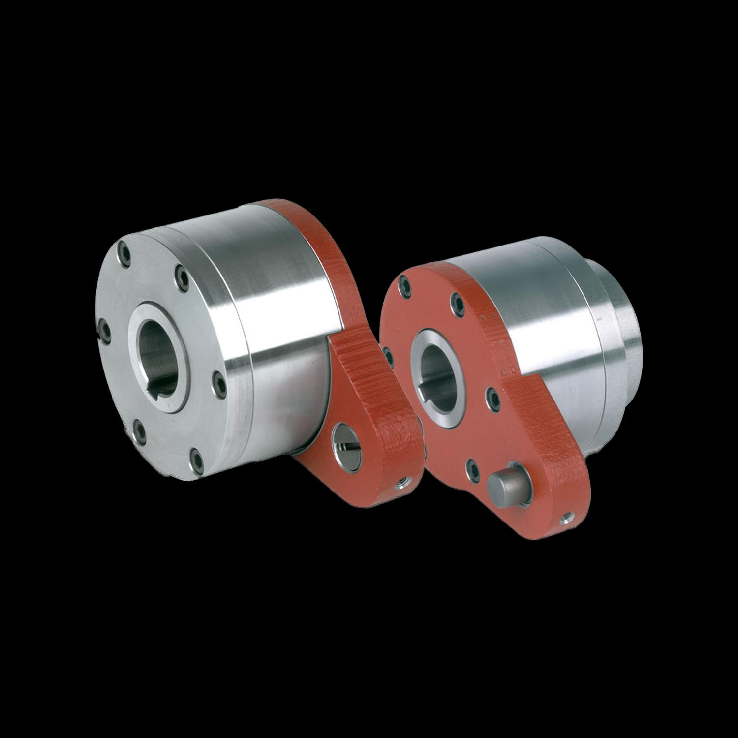 Klemmkörperfreilauf RIZ..G2G3 und RIZ..G3G4