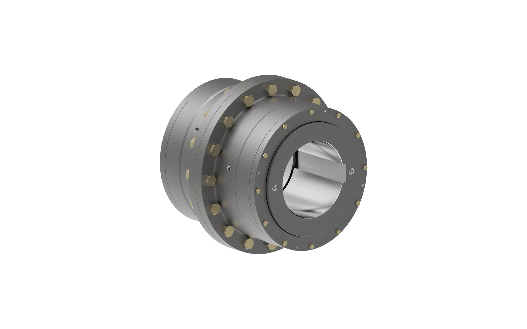 Sayfa 21 gear flex coupling - rgd - rgs.png