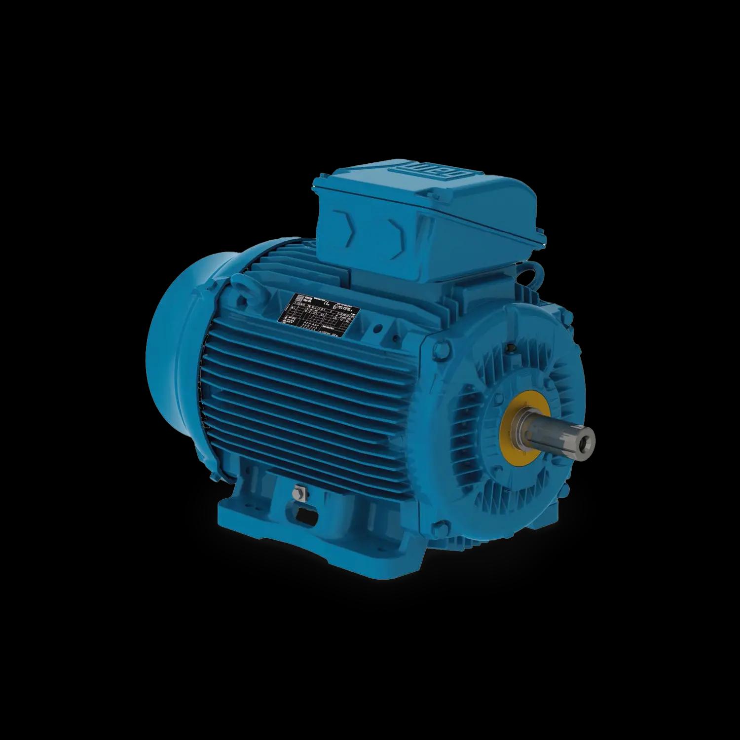 W22Xtb Drehstrom-Käfigläufermotor  (Zone 21)