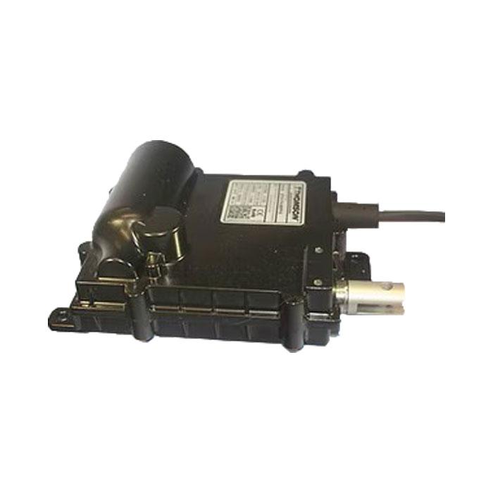 Electronic Throttle System