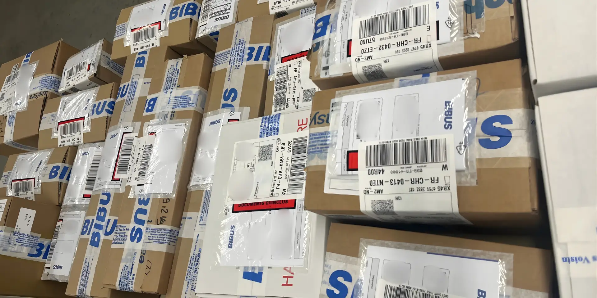 Logistics-number-of-orders-delivered-BIBUS-France