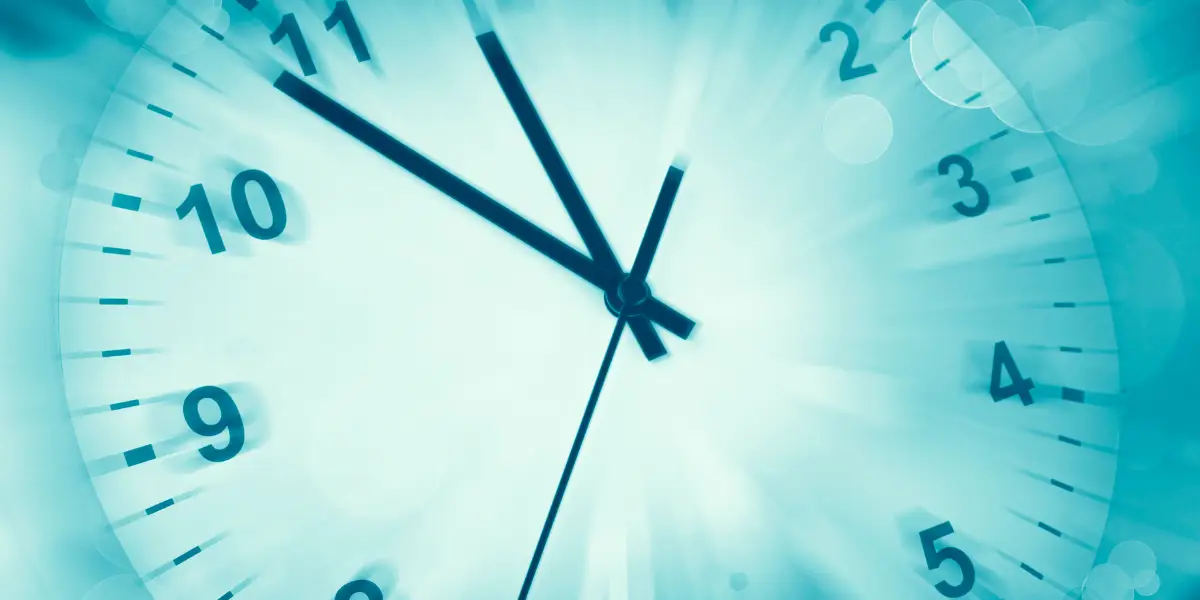 Time-to-market-BIBUS-France