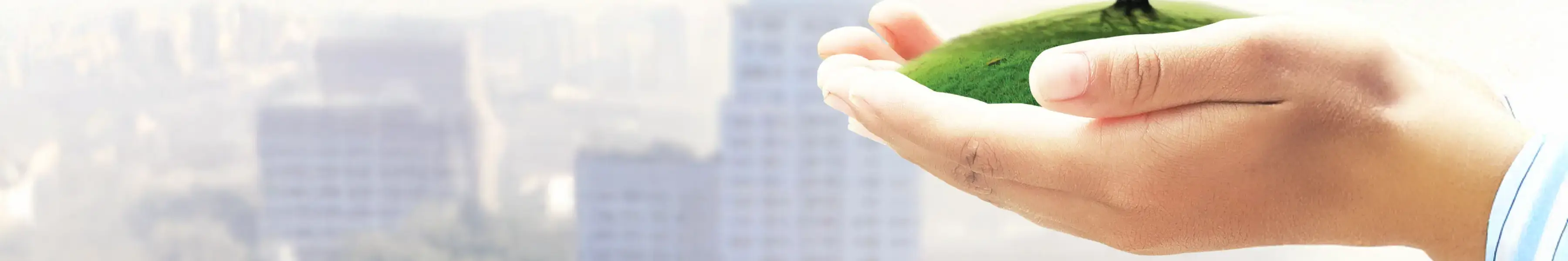 social responsibility