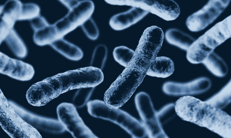 Detection of Legionella bacteria BIBUS FRANCE