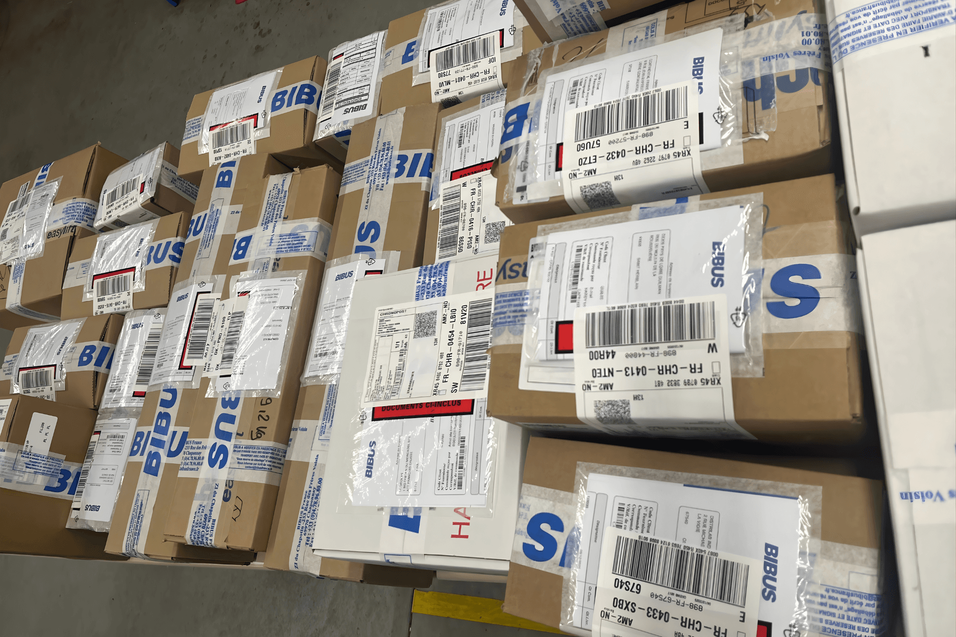 Logistics-number-of-orders-delivered-BIBUS-France