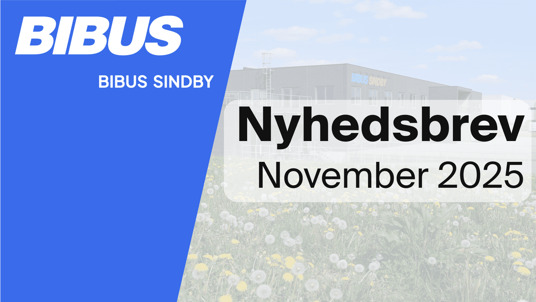 Newsletter November 2025