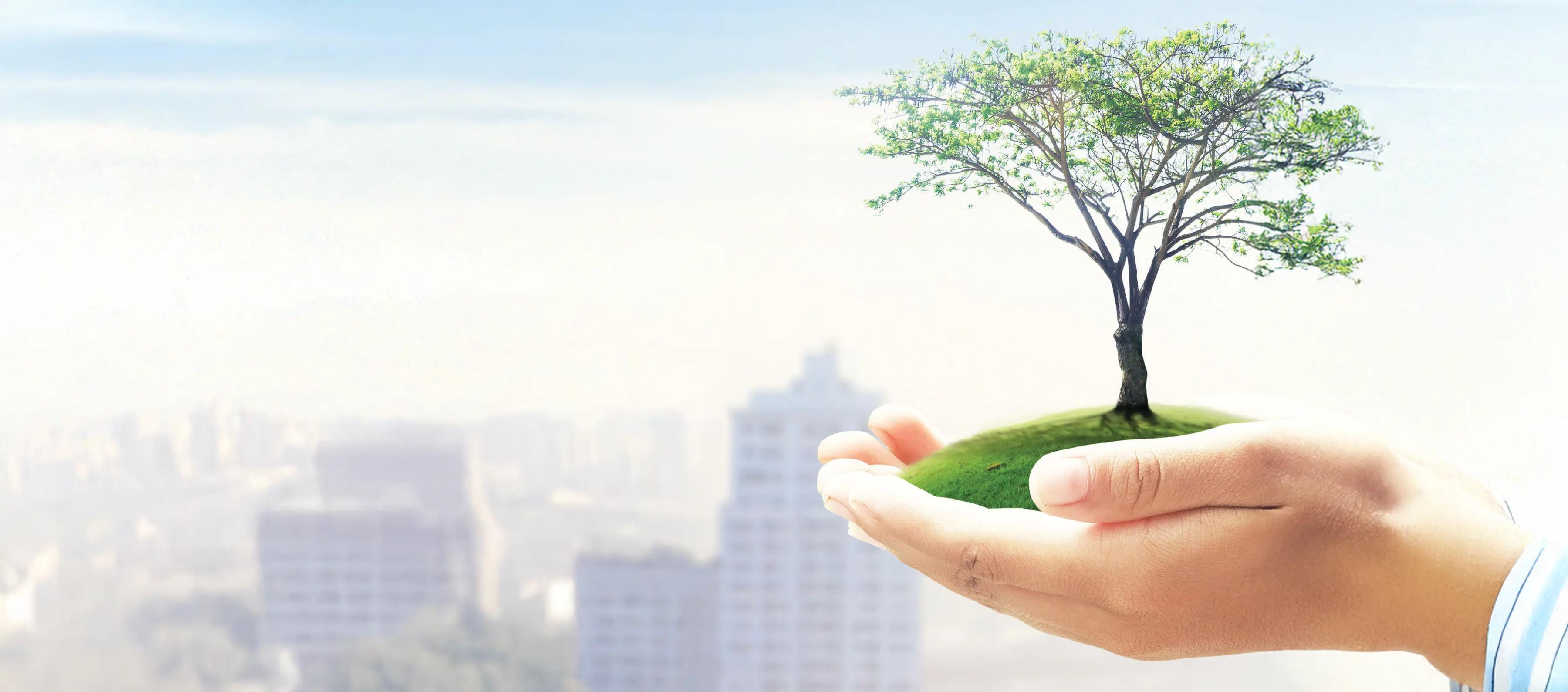 social responsibility